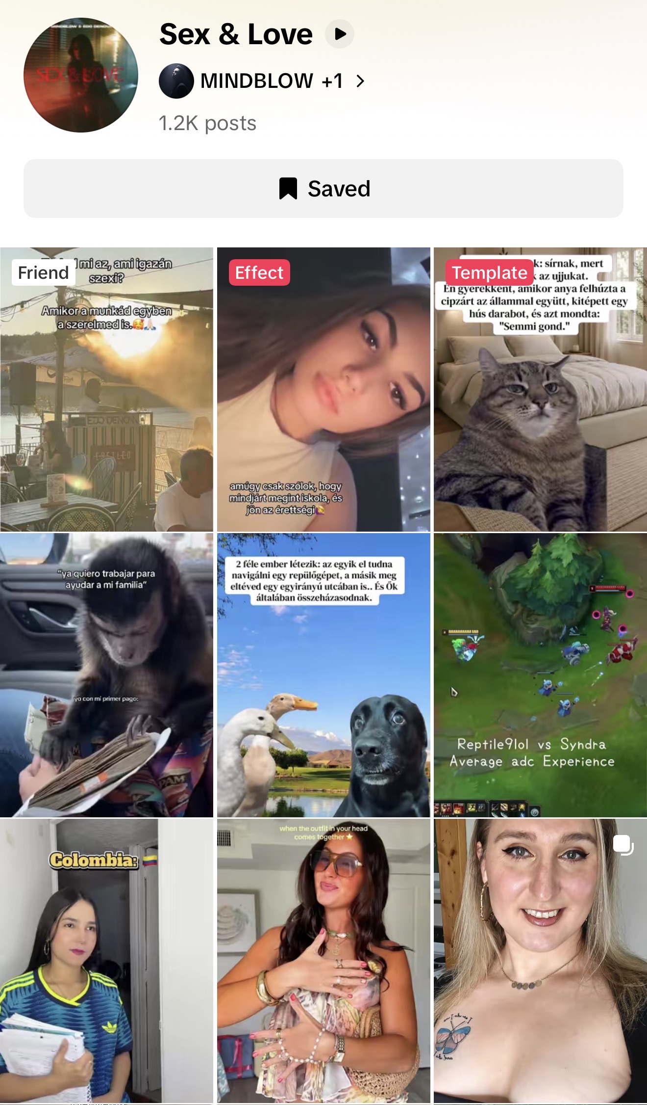 Sex & Love TikTok hang – kampány után, 1200+ videó
